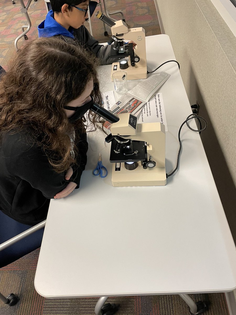 novivirtual (@novivirtual) on Twitter photo “My Brine Shrimp looks like it is flying!” <a href="/novivirtual/">novivirtual</a> 6th graders practice microscope skills <a href="/NCSD/">Novi Community School District</a> ROAR Center. <a href="/OfficialNGSS/">Next Generation Science Standards</a> <a href="/FOSSscience/">FOSS Science</a> <a href="/BenMainka/">Ben Mainka</a> <a href="/MrGiromini/">Michael Giromini</a> <a href="/BarnesMathSci/">Bethany Barnes</a> <a href="/epohlonski/">Emily Pohlonski</a> “My Brine Shrimp looks like it is flying!” <a href="/novivirtual/">novivirtual</a> 6th graders practice microscope skills <a href="/NCSD/">Novi Community School District</a> ROAR Center. <a href="/OfficialNGSS/">Next Generation Science Standards</a> <a href="/FOSSscience/">FOSS Science</a> <a href="/BenMainka/">Ben Mainka</a> <a href="/MrGiromini/">Michael Giromini</a> <a href="/BarnesMathSci/">Bethany Barnes</a> <a href="/epohlonski/">Emily Pohlonski</a>