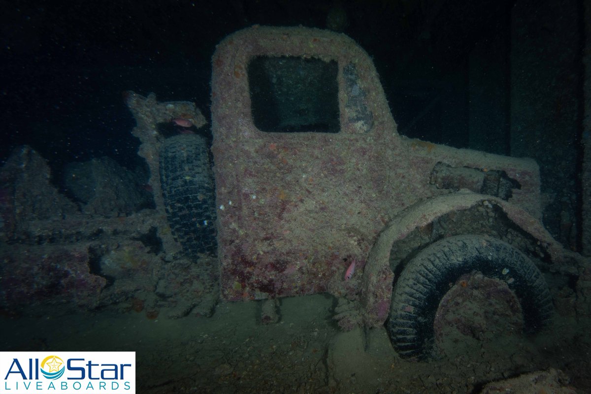 DiveASL's tweet photo. Wreck Diving Wednesday - SS Thistlegorm
~Red Sea
#allstarliveaboards #redsea #egypt #allstarredsea #thisisegypt #wreckdiving #thistlegorm #wreckdivingwednesday #wwiiwrecks https://t.co/pgdhlPiWI1