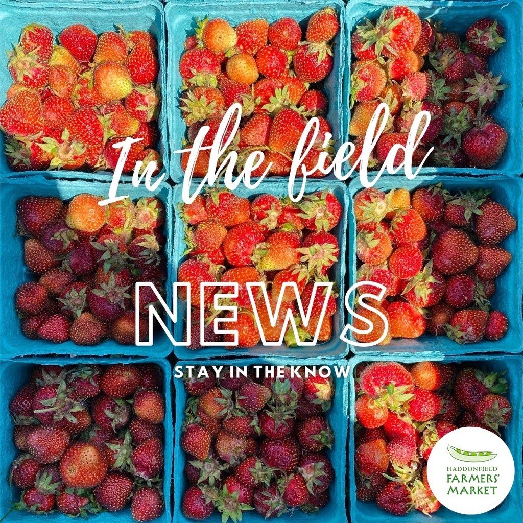 Haddonfield Farmers' Market tweet media