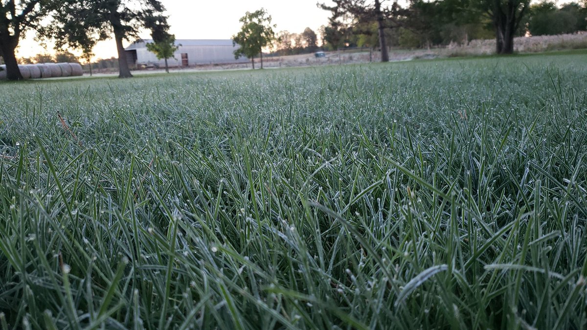 Nathan Nelson tweet media