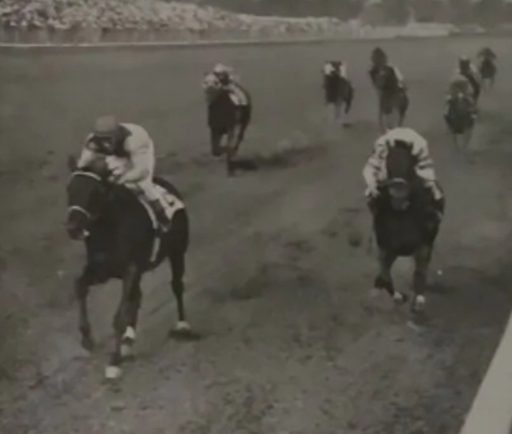 HORSERACING1002's tweet photo. BETTER BEEπΊπΈ(TRIPLICATE)#BetterBee a multiple Stakes winner π in USA. https://t.co/7ojesLegoO