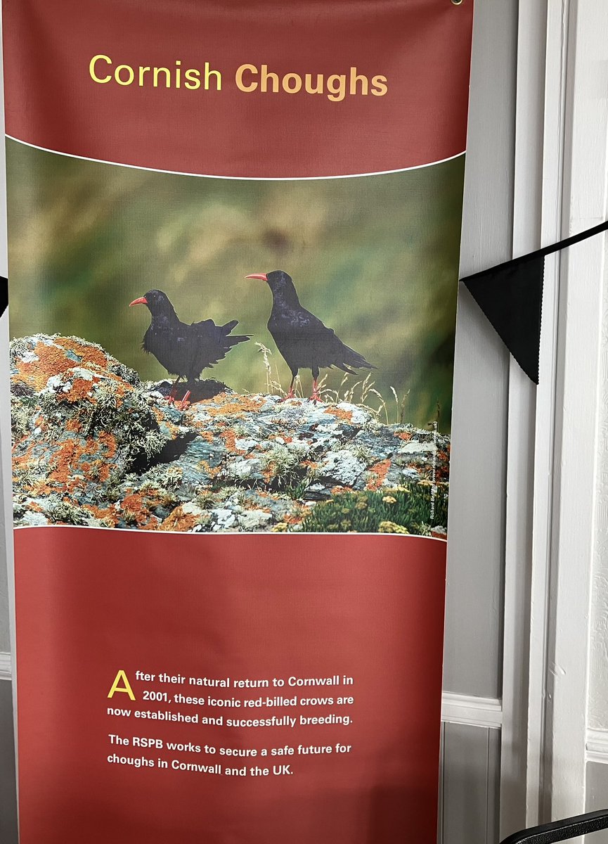 TonyJuniper's tweet photo. Arrived at Lands End with @naturalengland colleagues &amp; @_AndyClements for an event celebrating the return of the Chough to Cornwall. What do we see? Not only Chough, but a shoal of Bluefin Tuna hunting with Gannets close by the rocky shore. Two great beacons of hope on one trip! https://t.co/sJYYNAZHIP