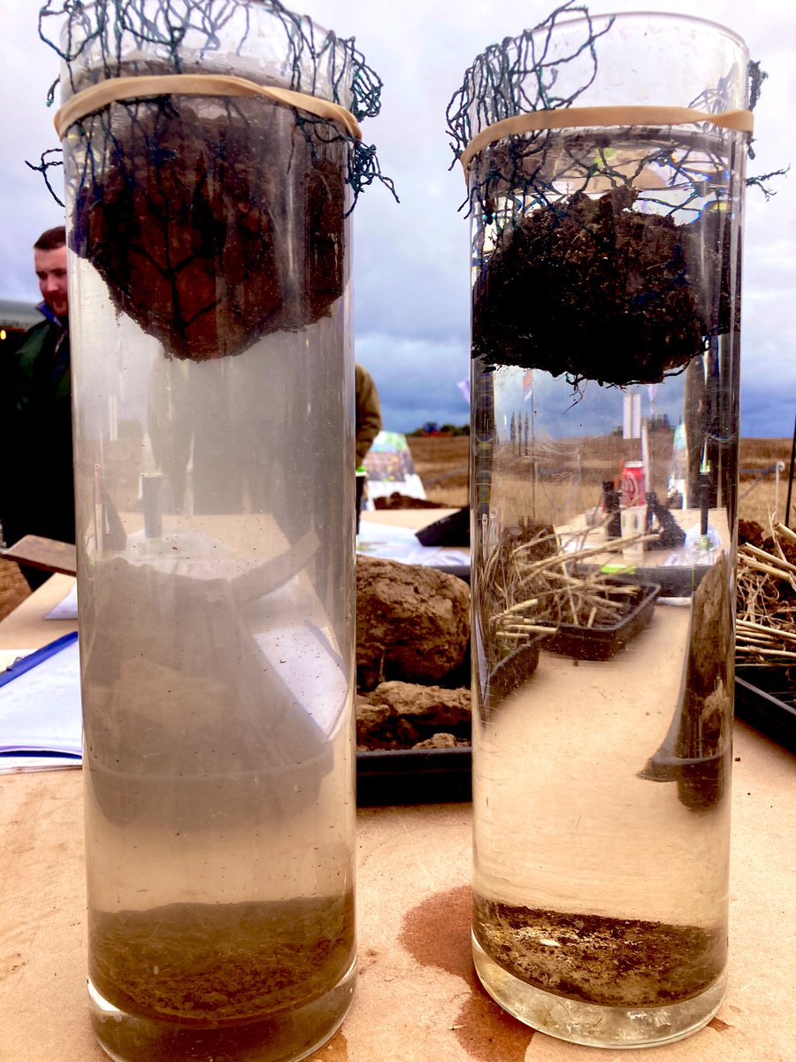 DKB Crop Protection tweet media