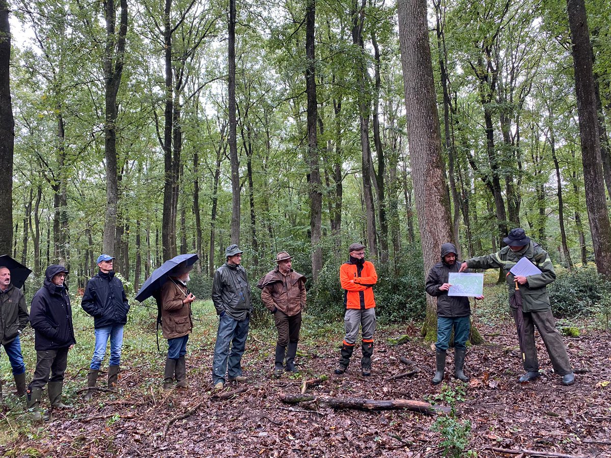 Les parapluies sont de sortie pour cette deuxième journée du #GEFF2022. 
Au programme : Visite de differentes parcelles dans la forêt de Vierzon (18).

#entomologie #insecte #forêt #terrain #DRAFF #LBLGC <a href="/EntomoC/">EntomoCentre</a> <a href="/INRAE_VDL/">INRAE Val de Loire</a>