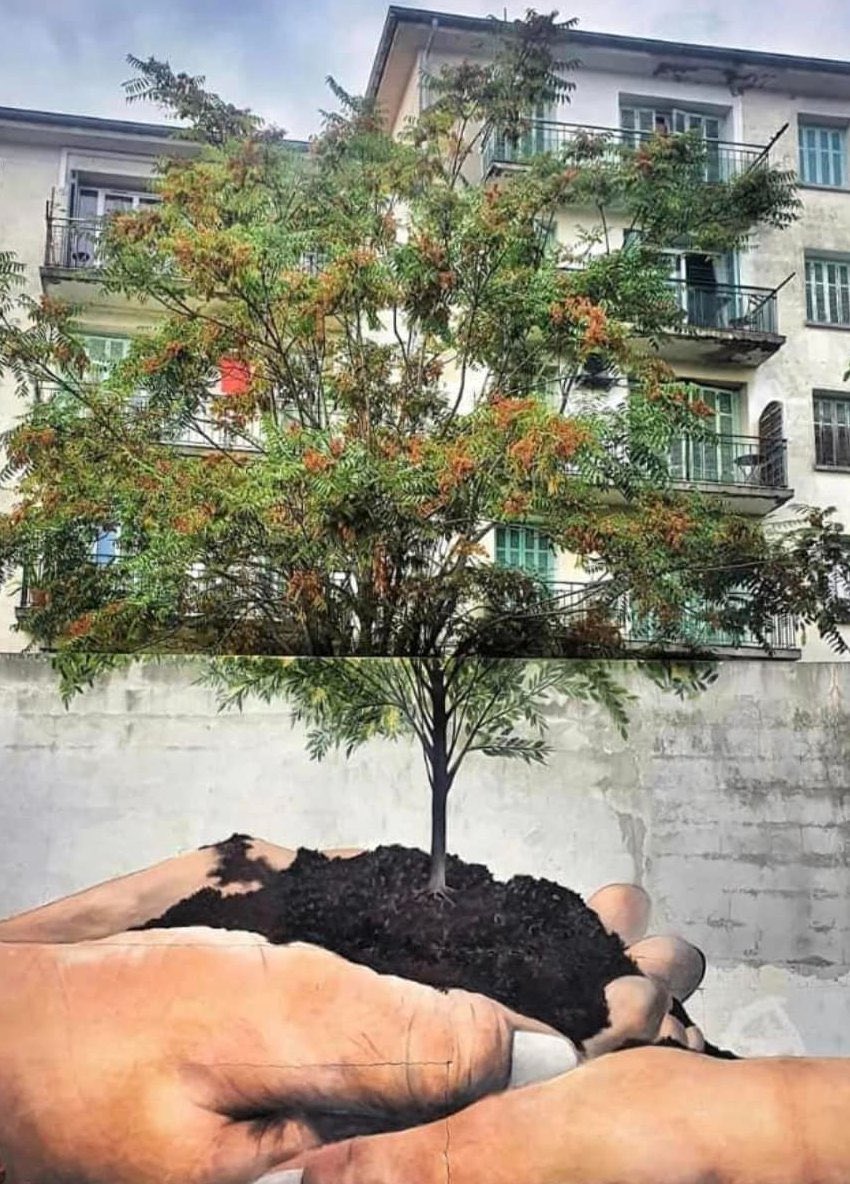 ... let's love it, take care of our planet, our future, humanity... our life. Good morning. 🔺🌍