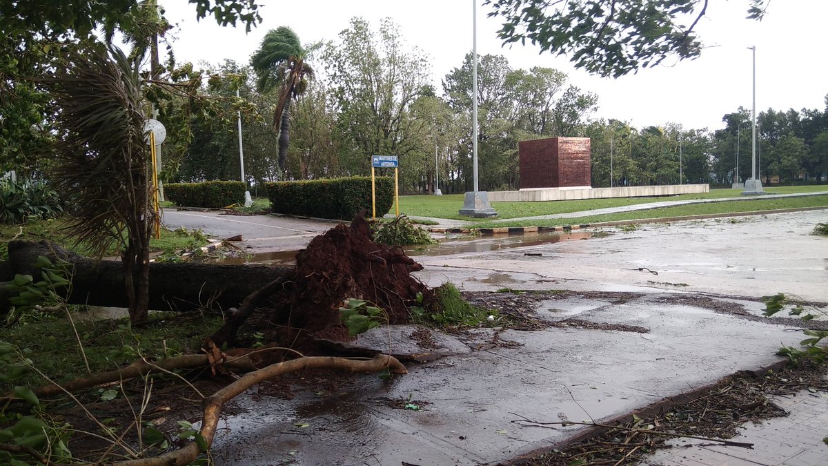 #ACNreporta  #Artemisa quedó herida por los vientos del huracán Ian pero sabrá levantarse #Cuba <a href="/GladysArtemisa/">Gladys Martínez Verdecia</a> <a href="/RicardoArtemisa/">Ricardo Concepción Rodríguez</a> <a href="/AdianezFernndez/">Adianez Fernandez Iz</a>