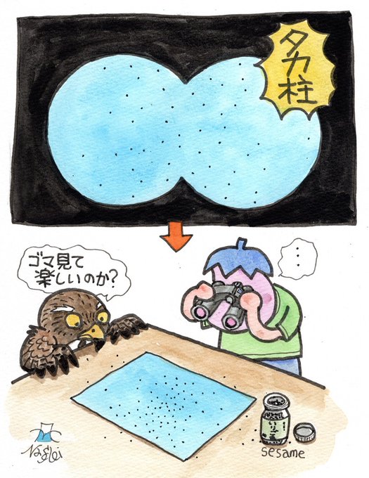 見事なタカ柱。 