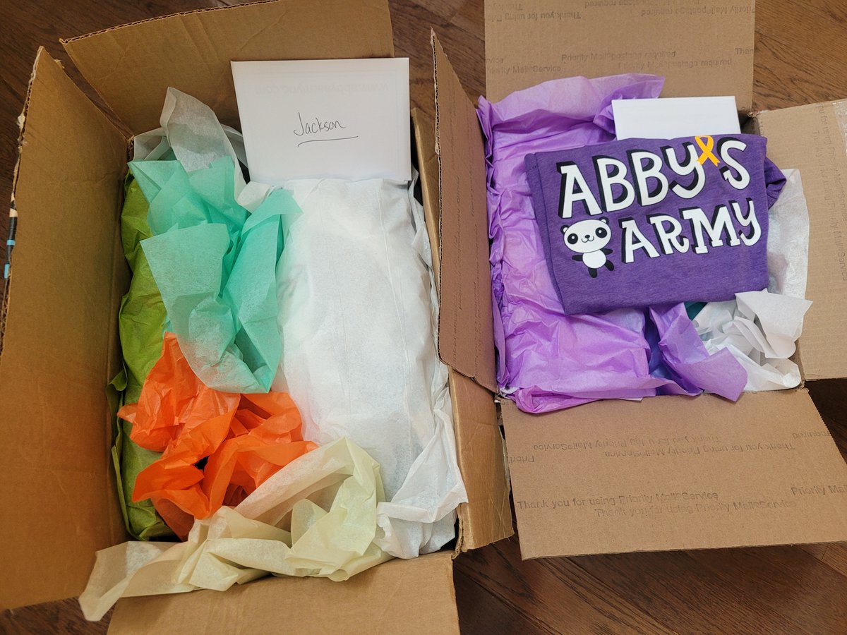 AbbysArmyNC's tweet photo. Meet Gracie - a beautiful & strong 9yo girl recently diagnosed w a sarcoma. Sending our prayers & support during her fight. πAbby's Army care pkgs sent to Gracie & her brother & sister to help bring some smiles during this tough time.π#noonefightsalone #abbysarmync #morethan4 https://t.co/XvWul9owlw