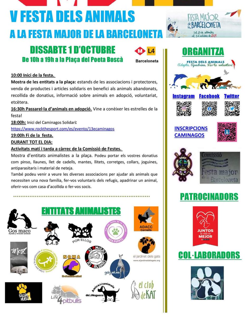 Jardinet dels Gats tweet media