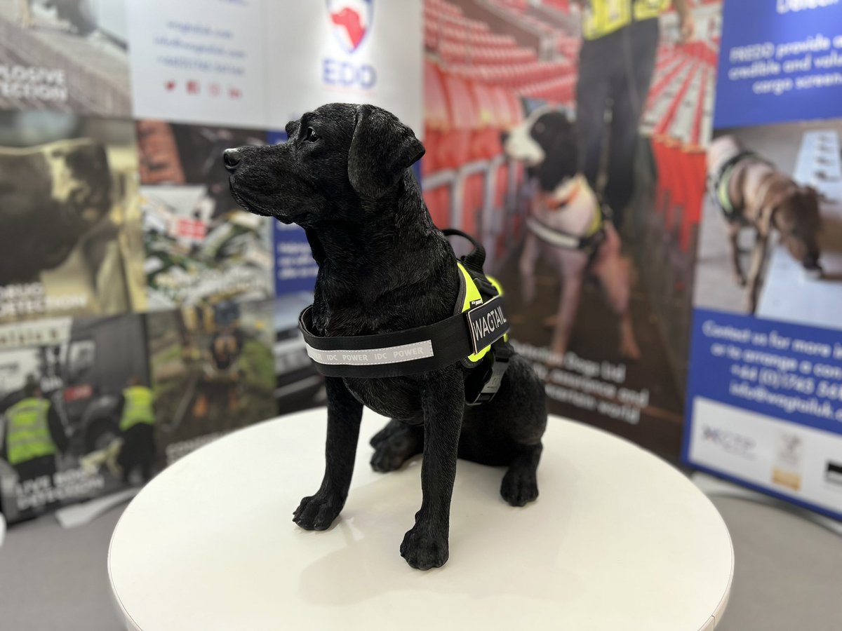 WagtailUK_dogs's tweet photo. Day 2 of the #international #security #expo, Olympia. We are on Stand F63
#internationalsecurityexpo #detectiondogs #snifferdogs #FREDDS #bordersecurity #tobacco #cash #drugs #explosives #usethebest https://t.co/OIuWDnndbO