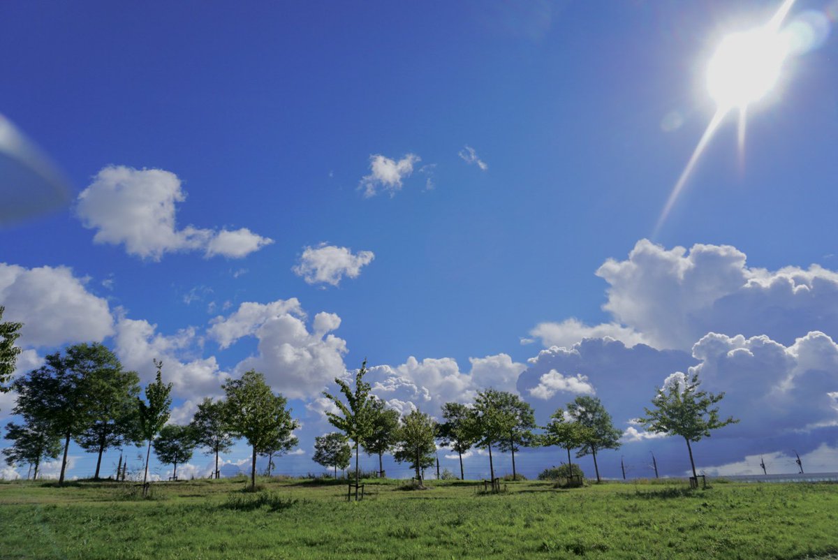 ol2016's tweet image. Dit ziet er beter uit … @EdAldus na al die regen.