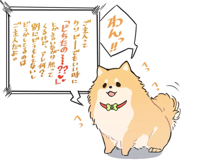 愛犬と翻訳機 