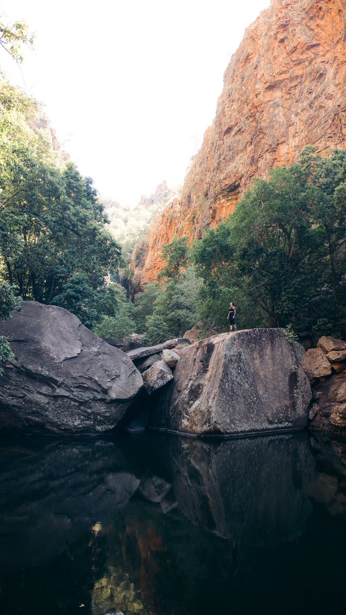 JedinasWorld tweet media