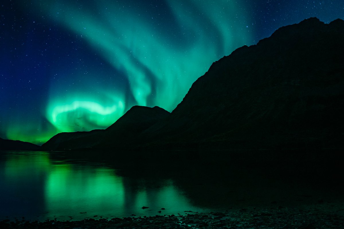 Joelle LB tweet media