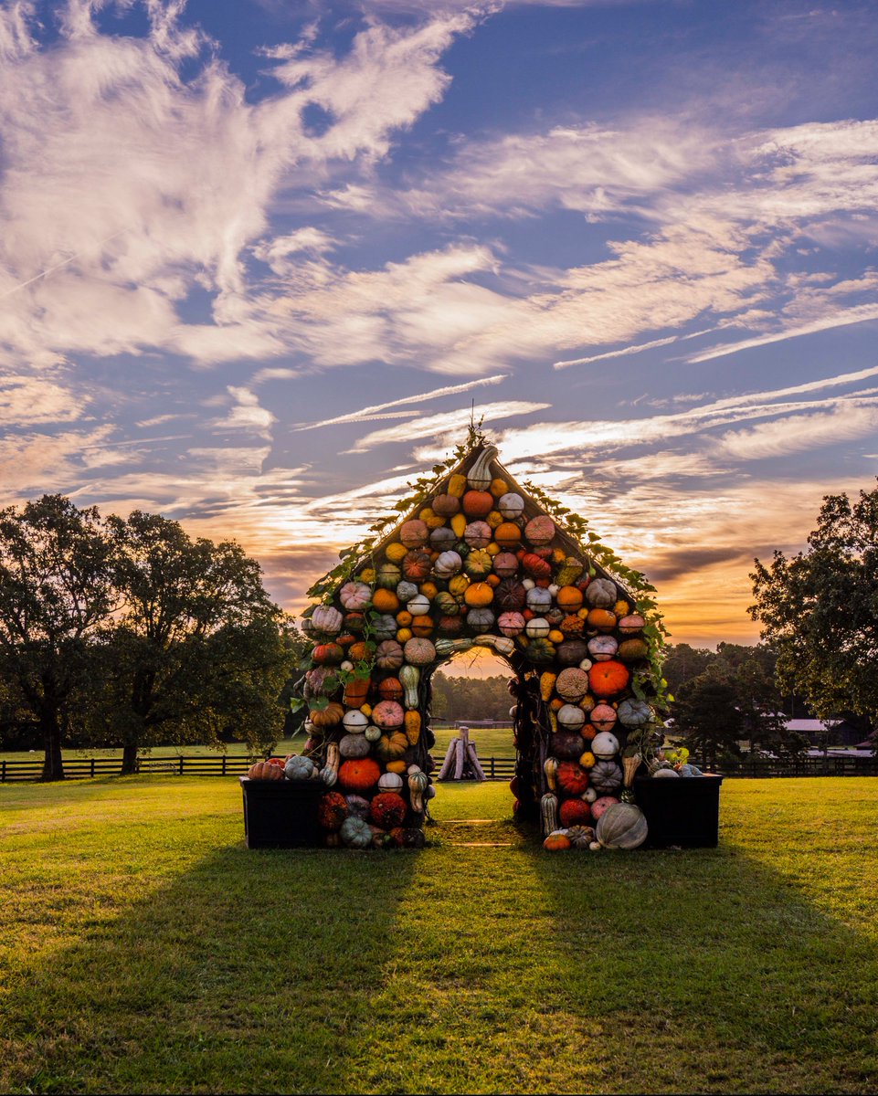PAllenSmith's tweet photo. I had to share this shot I took yesterday evening of the famous pumpkin house at Moss Mountain Farm. I simply love to create this spectacle for our visitors each year! And isn't the sky beautiful? ๐
#pallensmith #pumpkinhouse #falldecor https://t.co/idwUhuWLgT