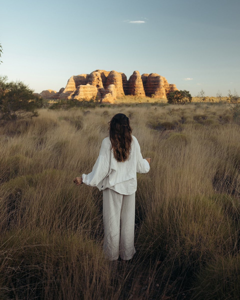 Harry Pope tweet media