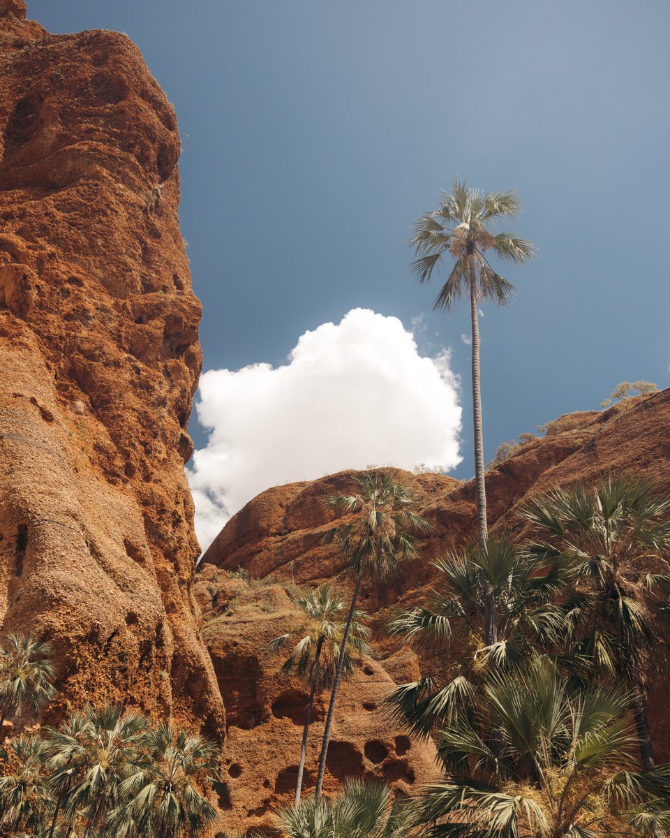 Harry Pope tweet media