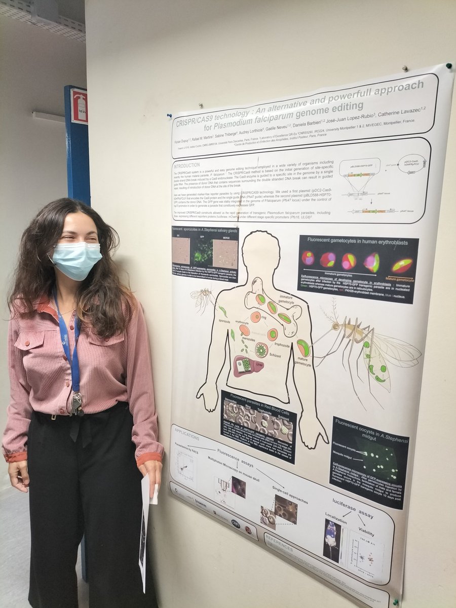InstitutCochin's tweet photo. The team of @catlavazec is working on the #biology of #plasmodium transmission. They are working on development of new treatment, modifications of cells mechano properties and the interaction with #erythroblasts.
Learn more by checking their webpage: 
https://t.co/sWbyYgqETV https://t.co/P5X6GDn0uK