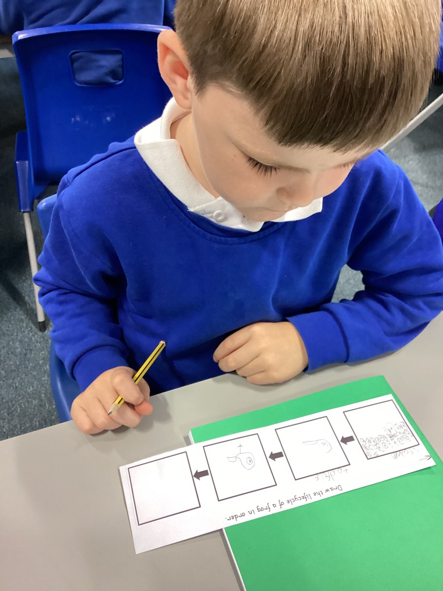 NHP_WAT's tweet photo. Today, in Science, Elm class found out about the life cycle of a frog. Next, they had a go at drawing the life cycle and gave an explanation. https://t.co/tQGgaOz5Ky