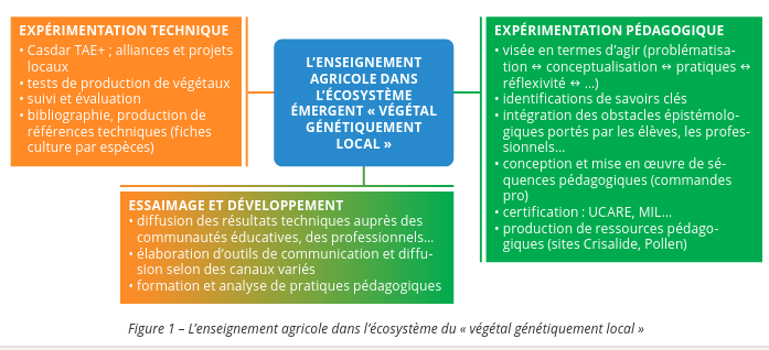 InstAgroFlorac's tweet photo. Enseigner les #transitions avec...les végétaux génétiquement locaux? Une question triple pour l'#EnseignementAgricole : expérimentation technique, essaimage et développement, expérimentation pédagogique ➡️ un document de la @BergerieNat https://t.co/75fUAlyK0r #laventureduvivant https://t.co/BIpHg5zY1o