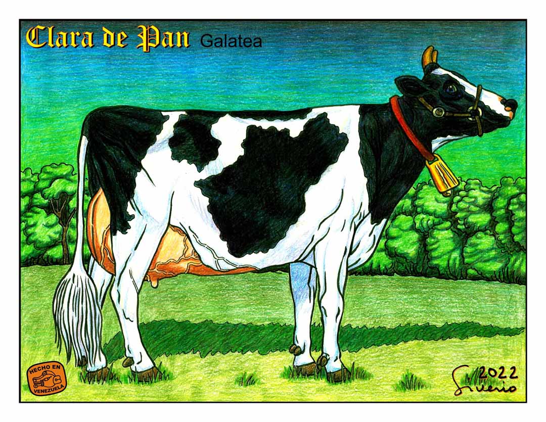 nino_jesus's tweet photo. Galatea. Character created by Ramón Siverio (AKA: Niño Jesús).2022
#fantasy #cow #cows #fantasybooks #fantasyartist #fantasywork #tales #magic #magickingdom #magical #magicofchilhood #fanstasyworld https://t.co/46Nf8TTB5P