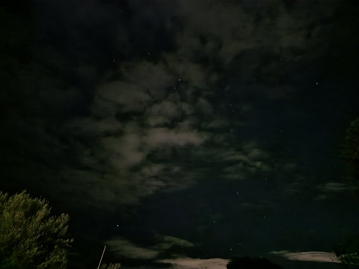 Alexandra Fowler tweet media