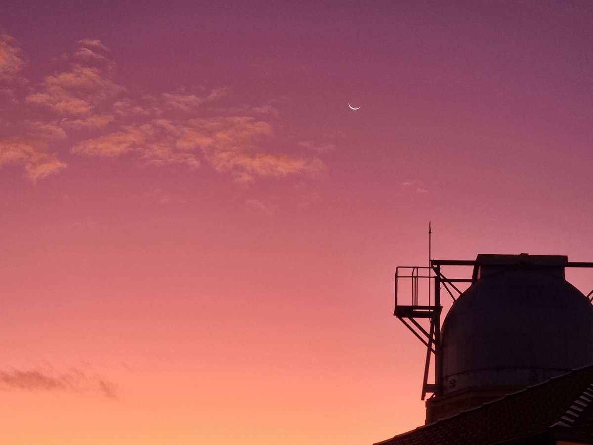 Alexandra Fowler tweet media