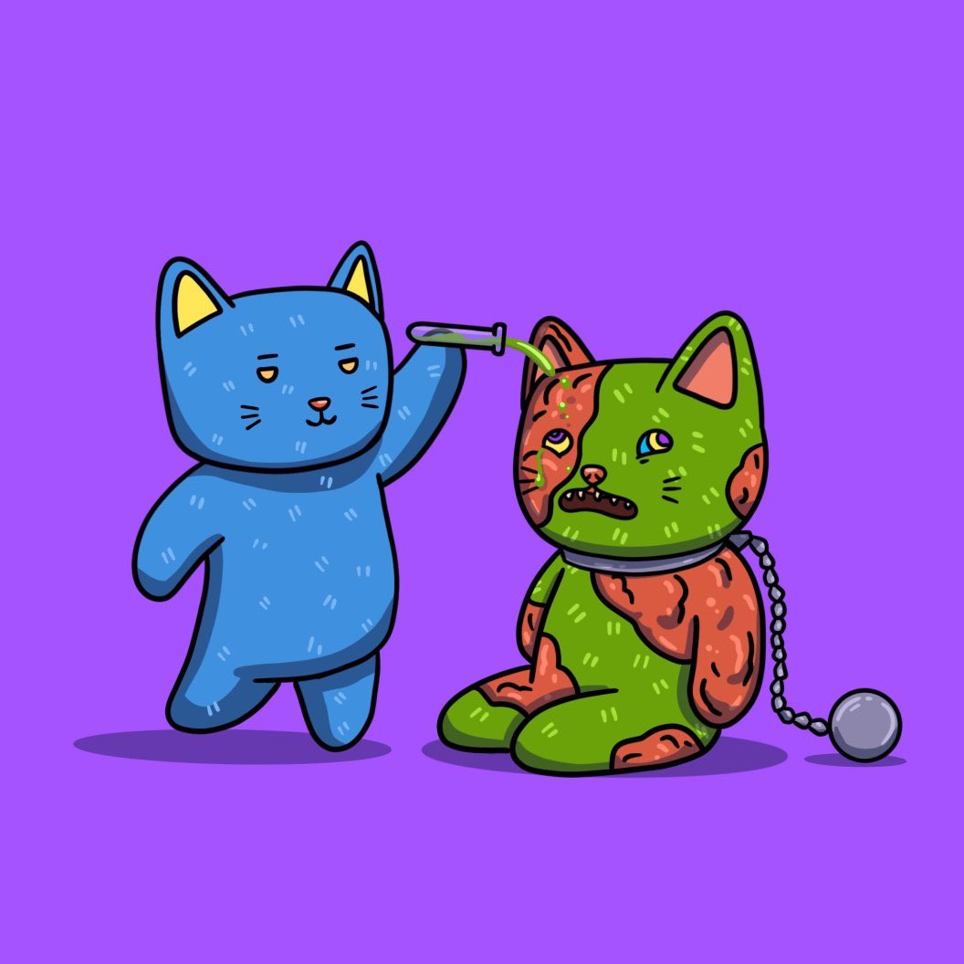 T_mutantcats's tweet photo. 🤭Time for the funding team showing up……!!!

👇🏻👇🏻👇🏻👇🏻👇🏻👇🏻 https://t.co/DG9ePKhVly