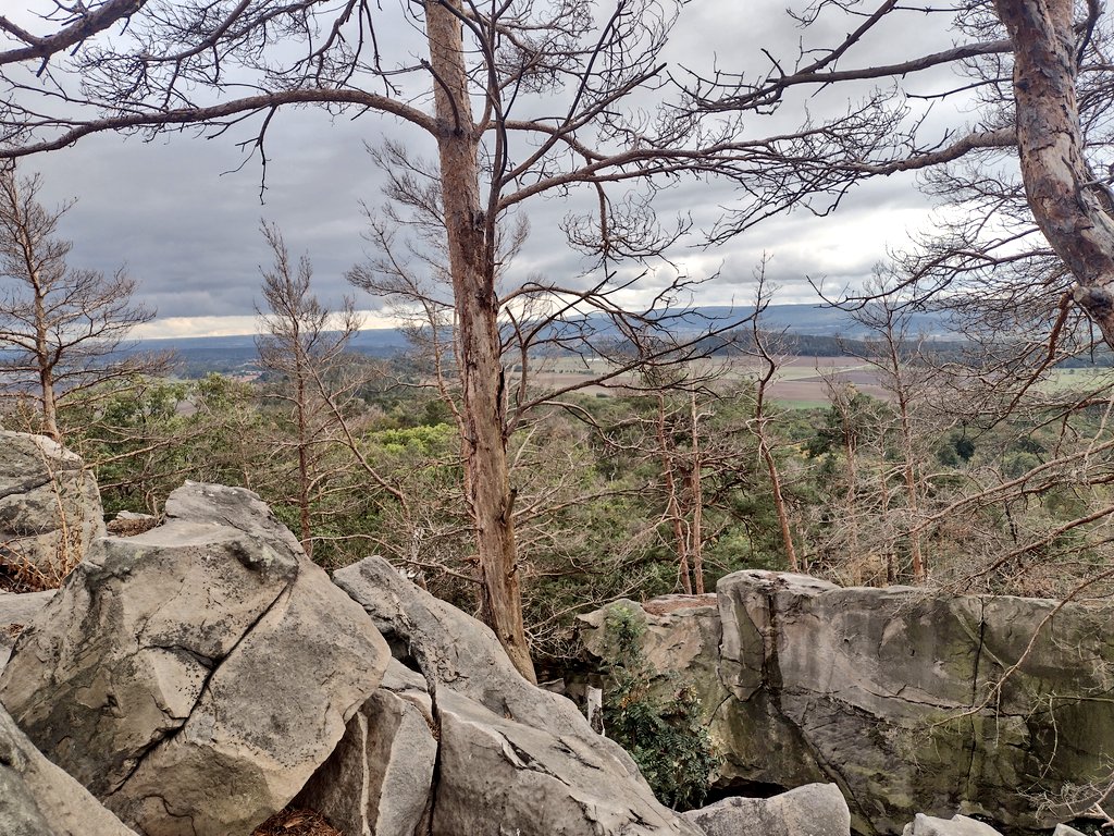 squirrelpics1's tweet image. Auf dem #Hoppelberg bei #Langenstein 😊