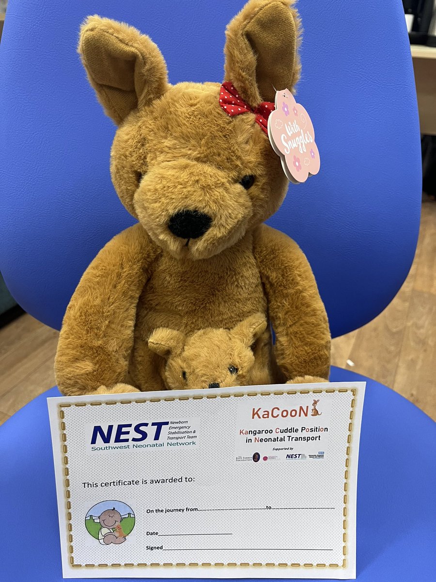 KaCooN Project tweet media