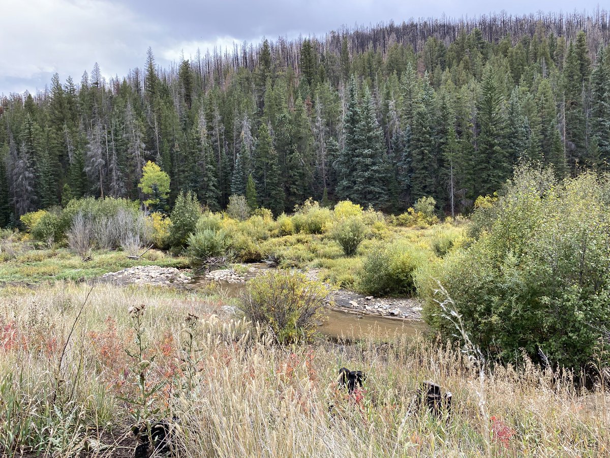 Danny White tweet media