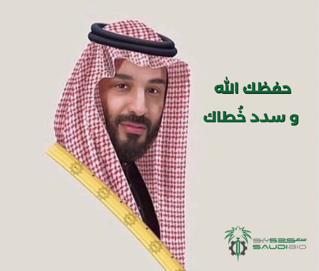 SaudiBioKSA's tweet photo. نتقدم بخالص التهاني والتبريكات لسمو ولي العهد، على الثقة الملكية الغالية بتعيينه رئيسًا لمجلس الوزراء.

  #محمد_بن_سلمان https://t.co/TYLkl839XF