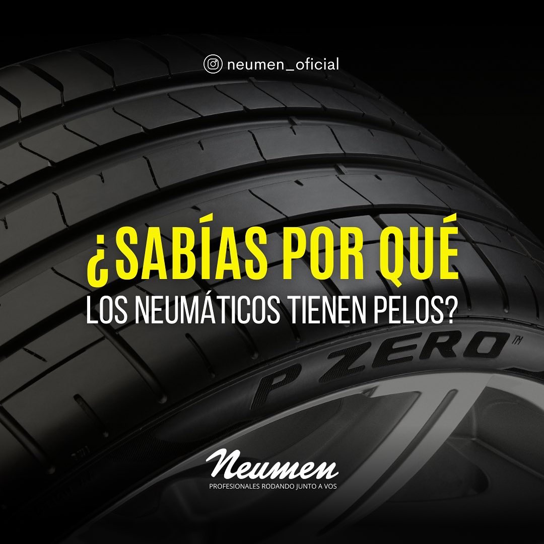 NeumenOficial's tweet photo. Ahora, ya sabés: si tienen o no pelos, no influye en el rendimiento, la seguridad y la originalidad de tus neumáticos. 

Neumen, profesionales rodando junto a vos. https://t.co/34X9TrelIb