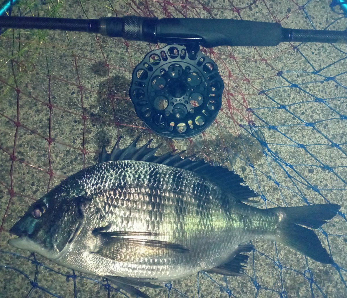 KAJIRAMONE tweet media