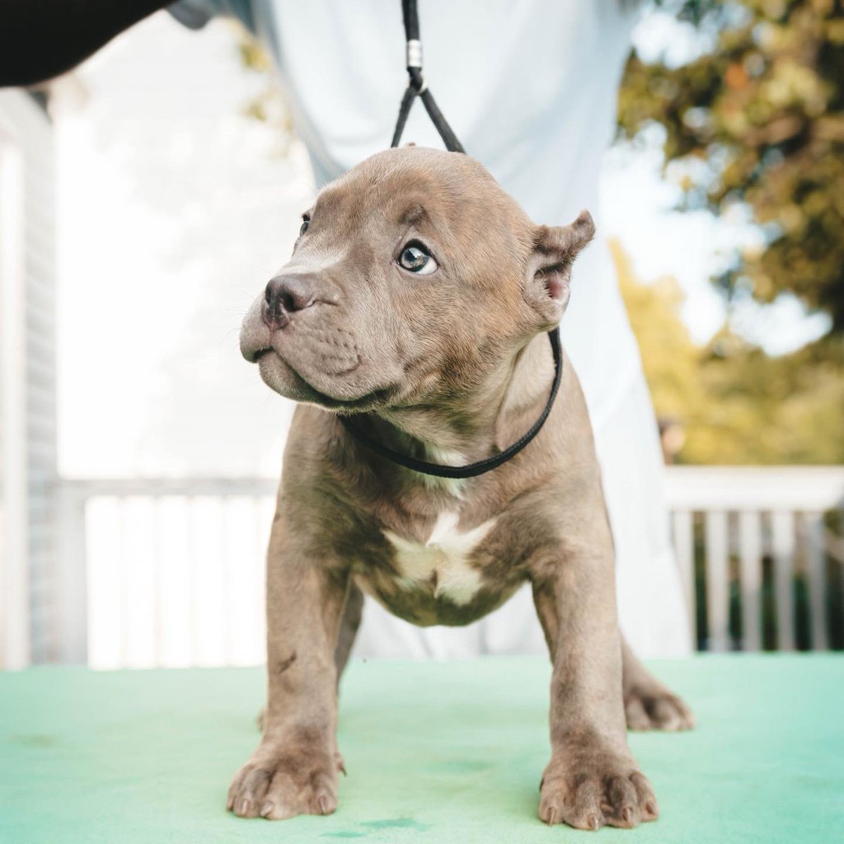 availabull female
