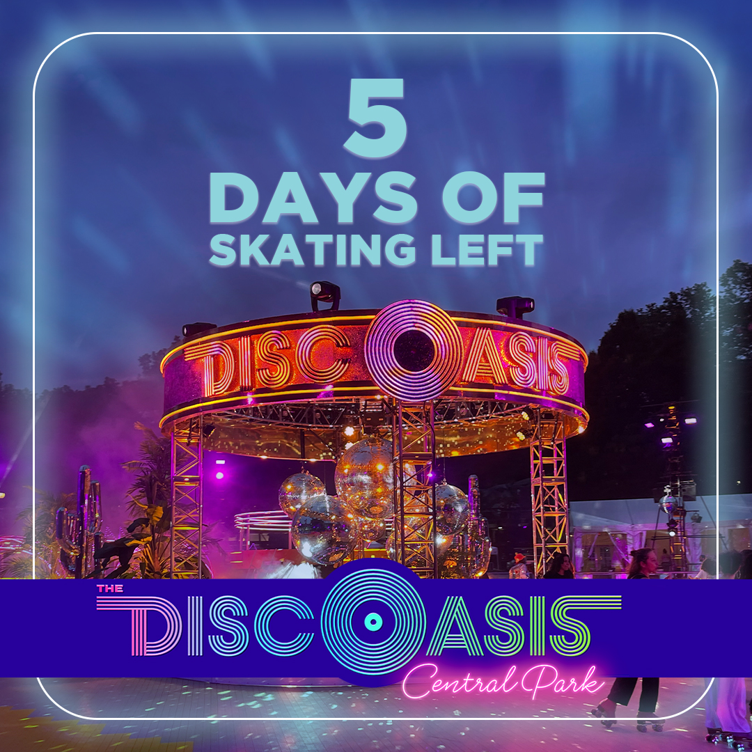 Last chance to visit us during our final week!✨
Get tickets today at link at thediscoasis.com