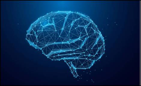 globalccus's tweet photo. Your cognitive functions are compared to see how smart you are and track how your intelligence changes over time, thanks to the experience with Sona.

#somosglobalcc #globalccve #nearvenezuela #nearprotocol #sonaprotocol https://t.co/pl4FMQ6Mja