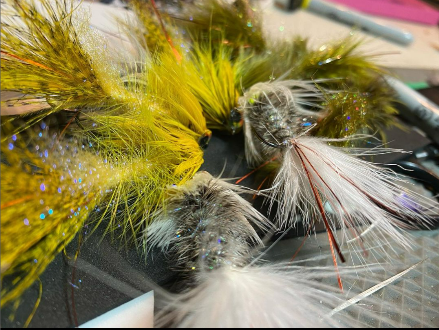 SnowbeeUSA's tweet photo. Can never go wrong with a Bugger
@burton_erny
Fresh buggers….

 #flytying #smalliesonthefly  #whitingfarms #vevusthread #ahrexhooks  #solarezflytying #smalljawsyndicate https://t.co/C9ohiXhrY8