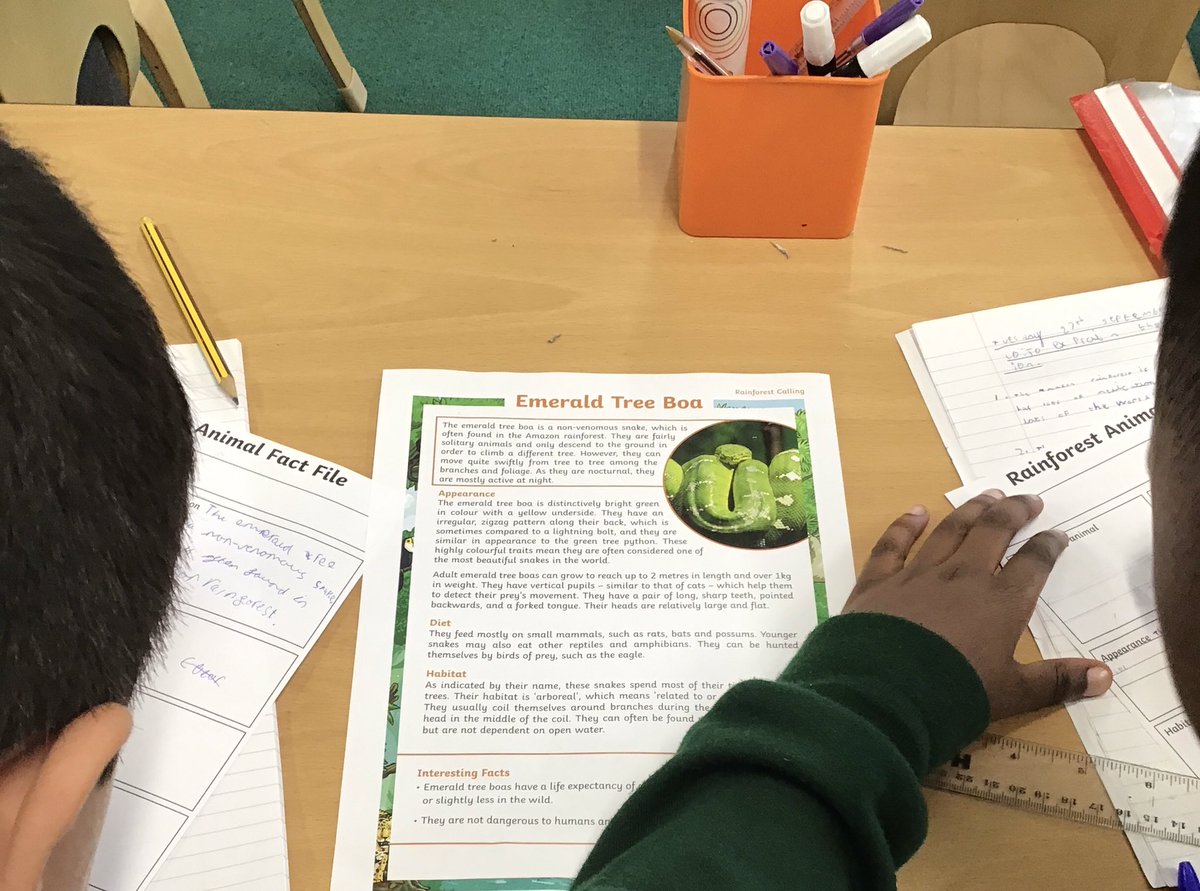 Discovery_Y4's tweet photo. Our pupils are learning all about the organisms that live in the #rainforest for their topic learning about the #AmazingAmazon! https://t.co/eSo2uyhRnb