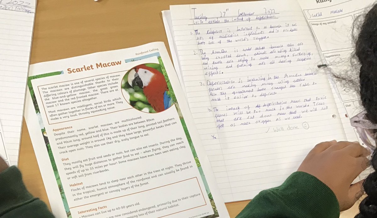 Discovery_Y4's tweet photo. Our pupils are learning all about the organisms that live in the #rainforest for their topic learning about the #AmazingAmazon! https://t.co/eSo2uyhRnb