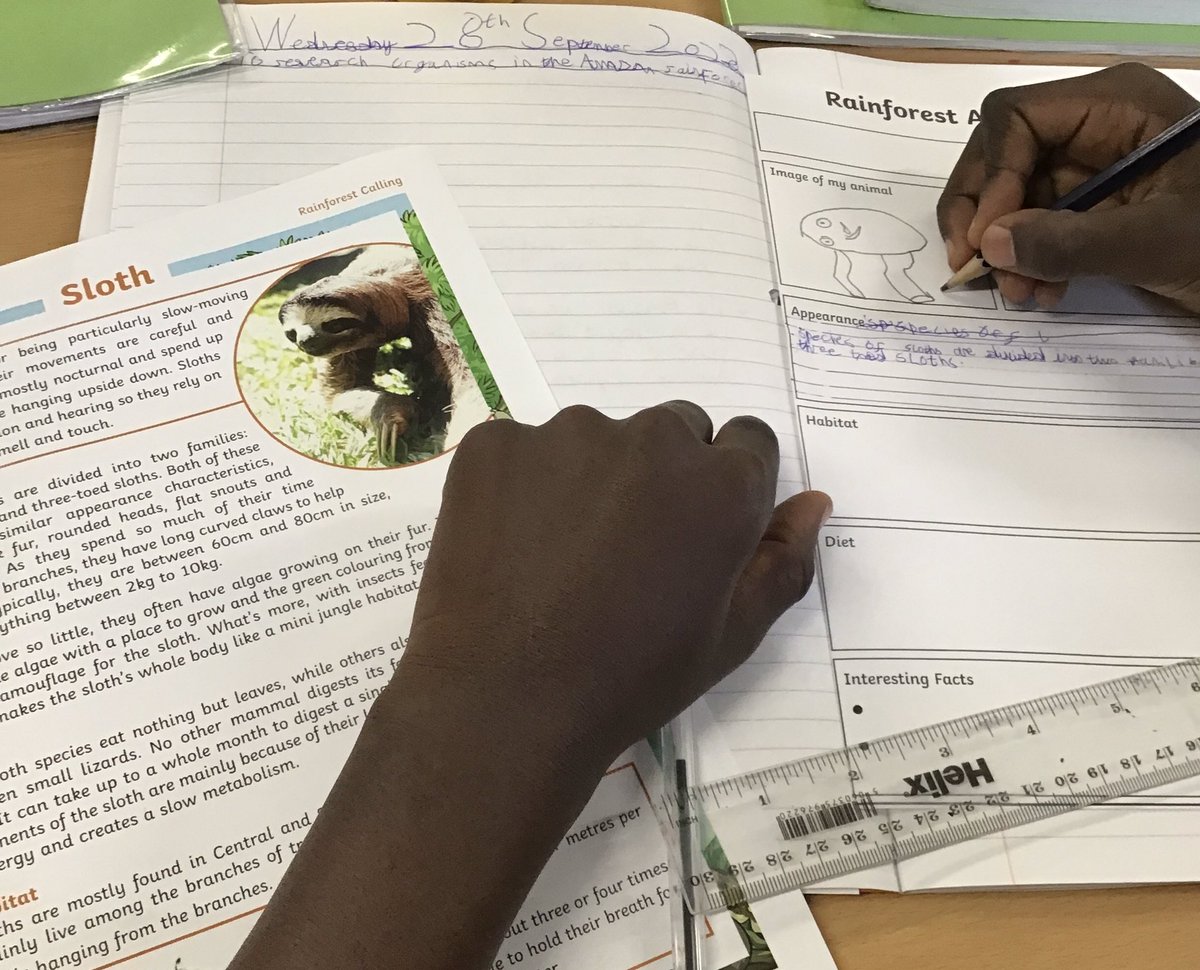 Discovery_Y4's tweet photo. Our pupils are learning all about the organisms that live in the #rainforest for their topic learning about the #AmazingAmazon! https://t.co/eSo2uyhRnb