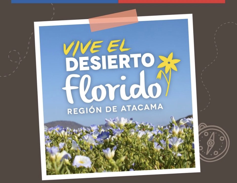 VallesDesierto2's tweet photo. ⭕️⚠️#DesiertoFlorido⚠️⭕️
#Ruta5📍Durante este fin de semana visita el stand de @SernaturAtacama en nuestra área de servicios en #Nantoco (Km. 778) e infórmate de los atractivos de este fenómeno natural observable entre #Vallenar y #Caldera, que debes ayudar a cuidar y preservar‼️ https://t.co/UYXyXPfDTq