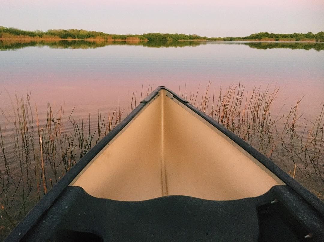 EvergladesNPS's tweet photo. Just as wilderness areas are different from each other, so are the people who connect with them.
Photo by @theswampandthesea
#NationalWildernessMonth #wilderness #WildernessForUs #WildernessAct58 #FallInToAdventure #Everglades75th #Everglades #EvergladesNationalPark https://t.co/MM6so4NgUn