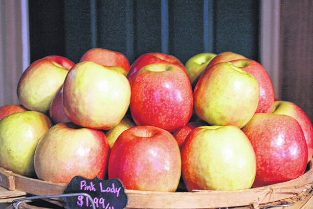 TheAnsonRecord's tweet photo. 🍎 This could be a game changer for our community.

This week's poll question: In efforts to combat the rising food desert phenomenon, the Anson Mobile Market is providing fresh produce to the county. How big of a deal is this to you?

Vote here: https://t.co/UwUWtA6QAV

#Anson https://t.co/zt12vFo50a