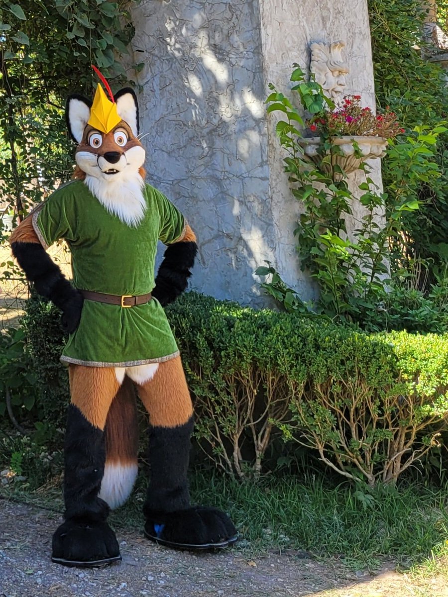 JimDaleFox's tweet photo. I dressed as Robin Hood again. But this time it was at the Kansas City Renaissance Festival last weekend! #fursuit #DisneyRobinHood https://t.co/EZhSNpEV0m