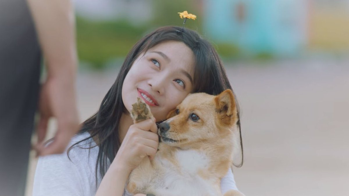 iconickdramas's tweet photo. And if you're an animal lover, this drama features a lot of animals because the male lead is a veterinarian. I'll miss Nurungi  🥹🤍  #OnceUponASmallTown #OnceUponASmallTownEp12 https://t.co/WOwjfXTYGl