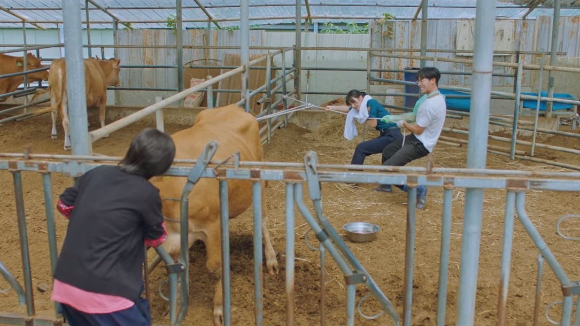 iconickdramas's tweet photo. And if you're an animal lover, this drama features a lot of animals because the male lead is a veterinarian. I'll miss Nurungi  🥹🤍  #OnceUponASmallTown #OnceUponASmallTownEp12 https://t.co/WOwjfXTYGl