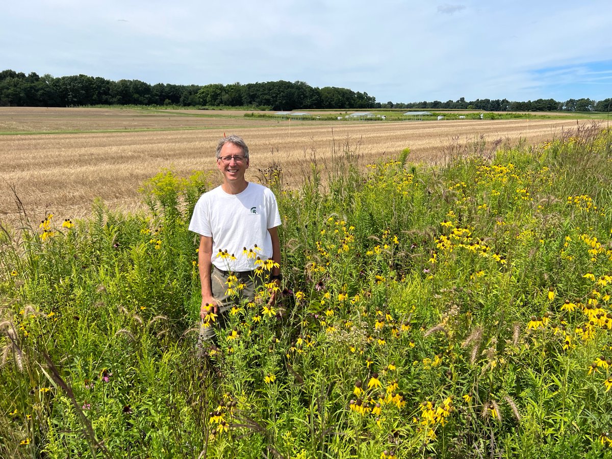 KBSLTER's tweet image. Findings from #MSUKBS @KBSLTER researchers suggest that bringing a little prairie back to farms in Michigan and other parts of the Midwest could help preserve both biodiversity and crop yields. Interview with our Director, @nickmhaddad at min 3:25! agri-pulse.com/media/podcasts…