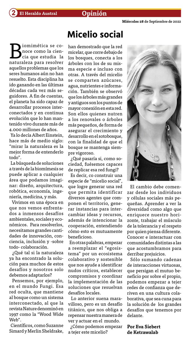 “¿Qué pasaría si, como sociedad, fuésemos capaces de replicar esa red fungí?”

— “Micelio social” por @EvaSiebert hoy en @Diario_EHA 🍄❤️