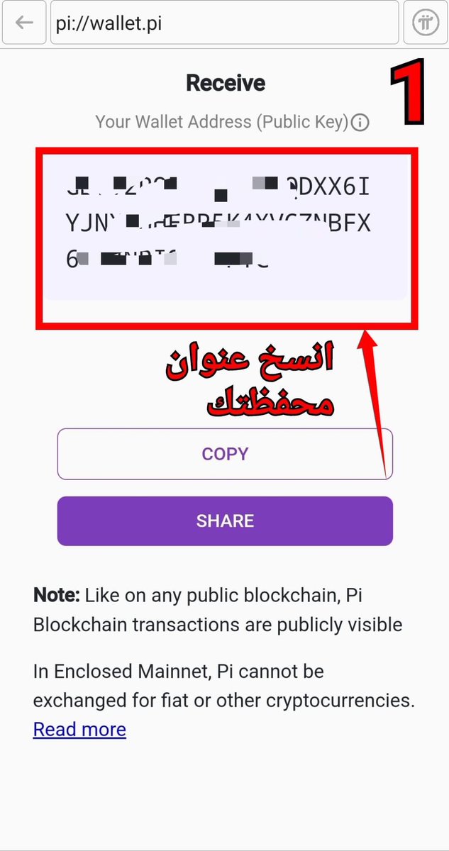 PiNetworkArab tweet picture